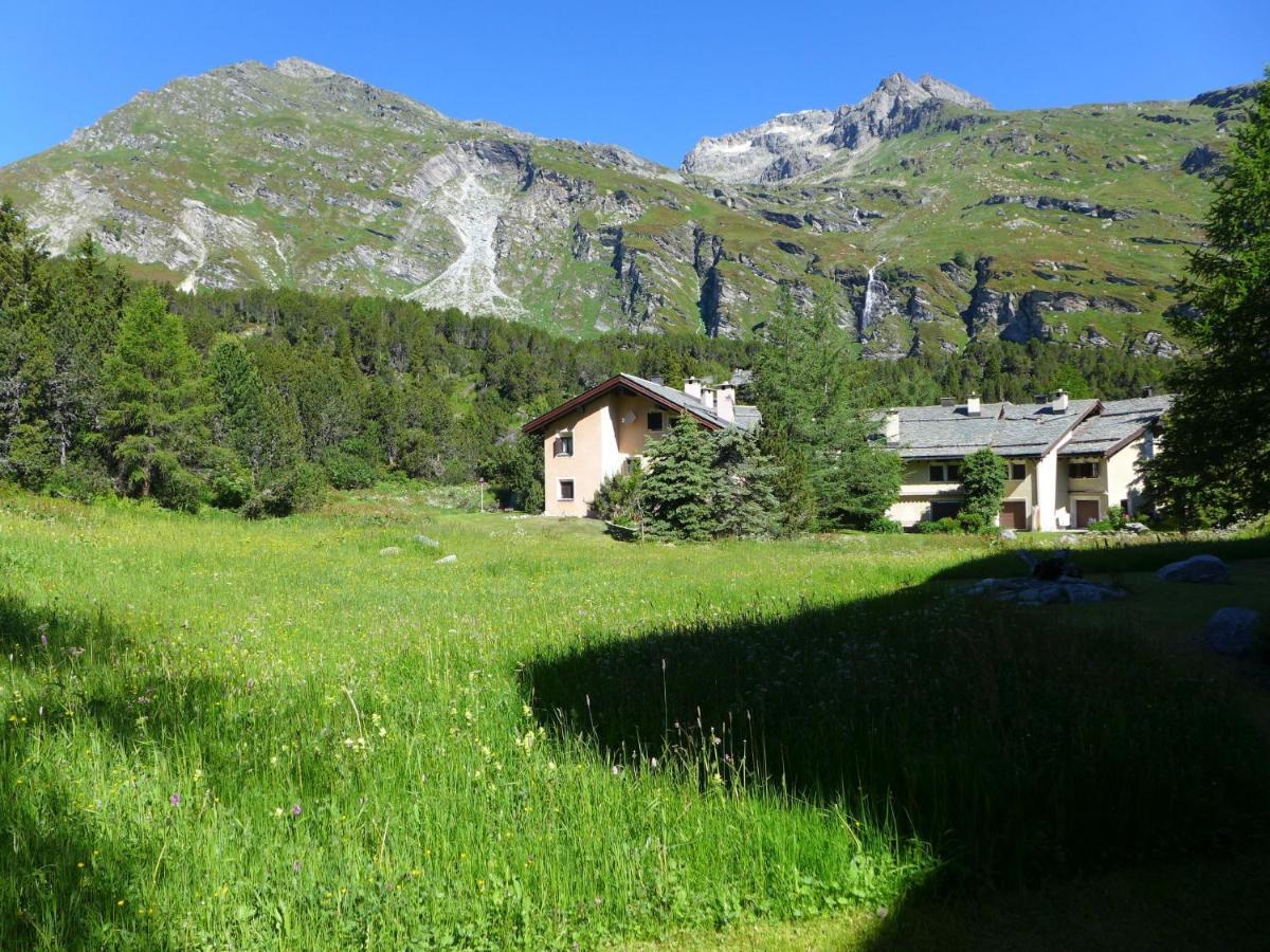 Apartment Casa La Planüra Maloja Exterior foto